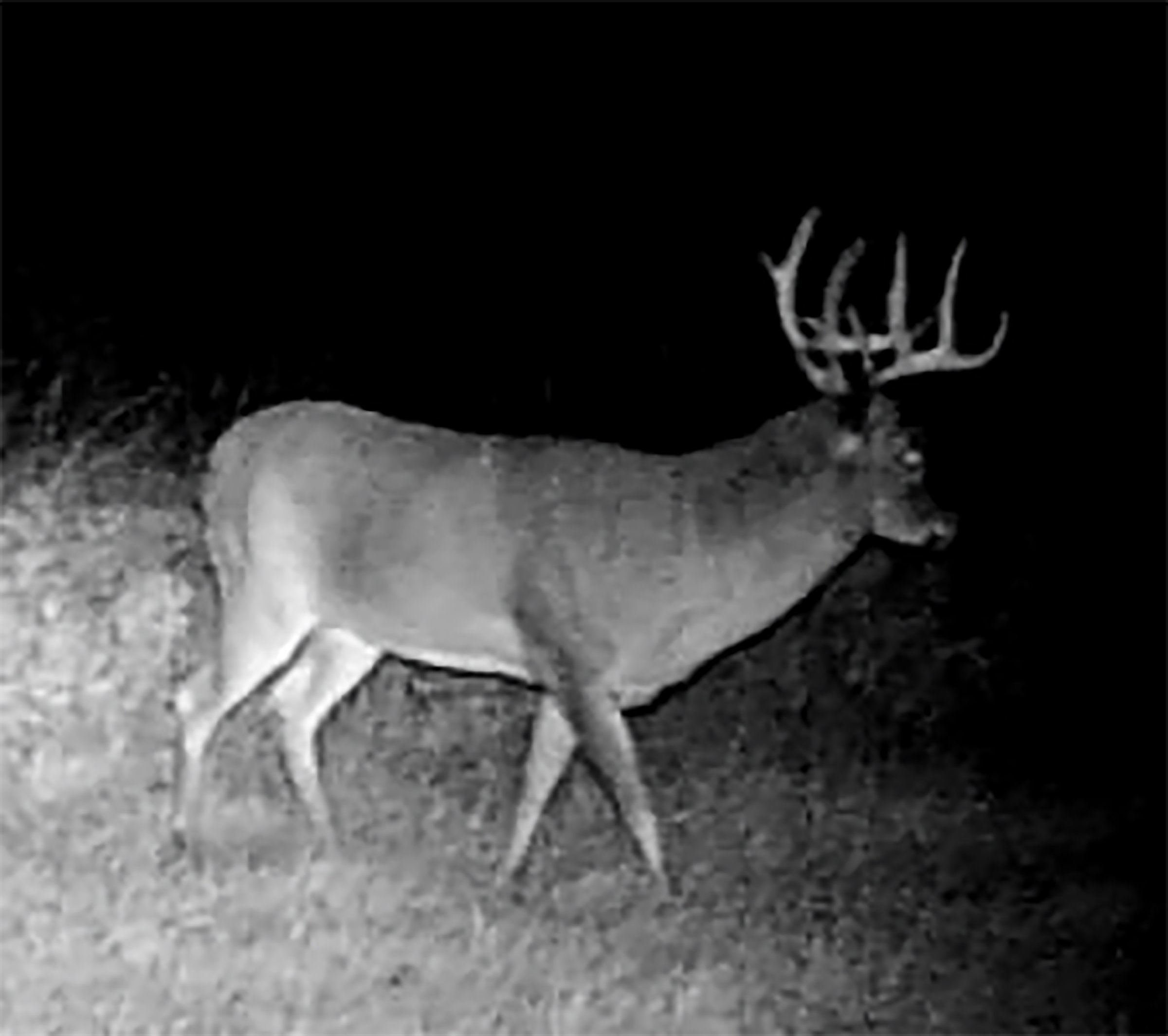 Lake County, Indiana wildlife - LAND AUCTION - 147+/- ACRES OFFERED IN 3 TRACTS IN LAKE COUNTY, INDIANA